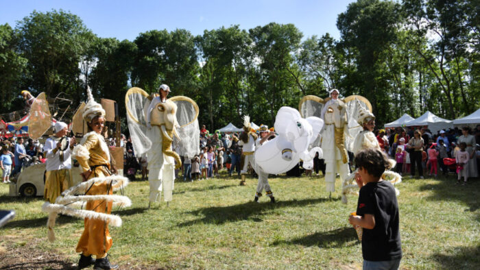 PACHY Y EL BAILE DE LOS ELEFANTES